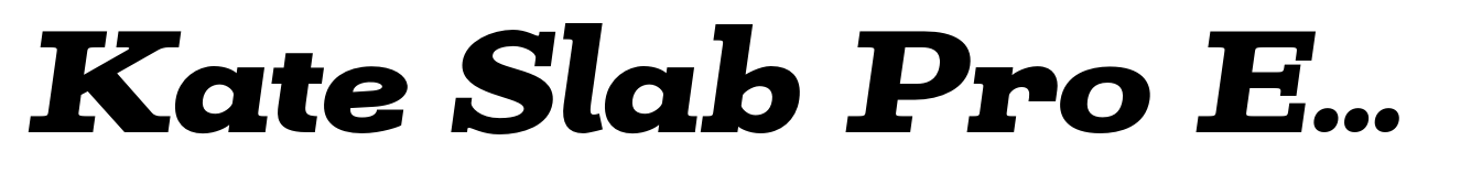 Kate Slab Pro Expanded 900 Black Italic